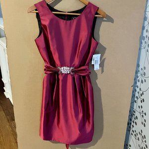 NWT Alex Evenings Petite Size 6P Jewel Tone Pink Sleeveless Dress with Pockets